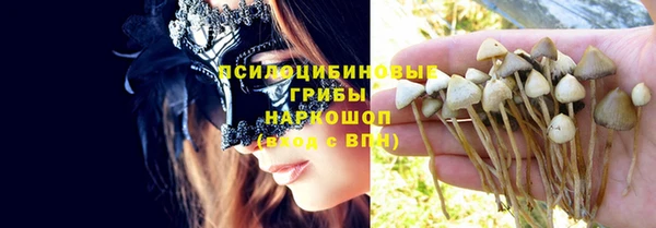 тгк Медвежьегорск
