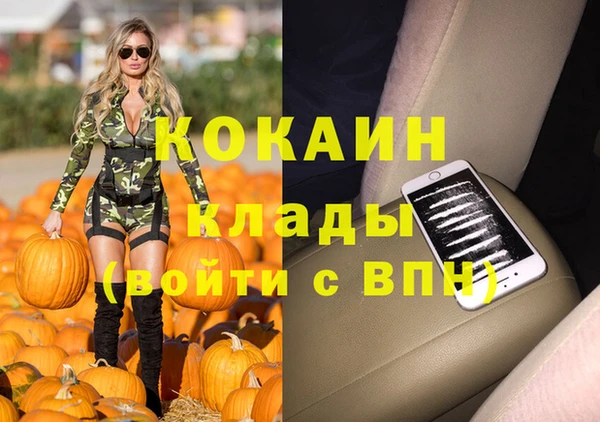 гидра Мегион