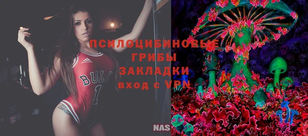 эйфоретик Арсеньев