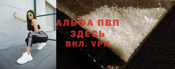 эйфоретик Арсеньев