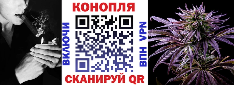 где купить наркоту  Волгодонск  Марихуана SATIVA & INDICA 